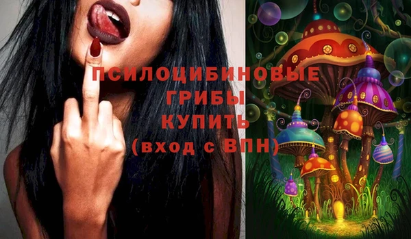 мдпв Богородск