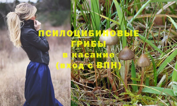 МДПВ Богородицк